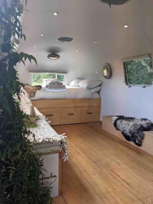 Airstream, Vintage American Caravan & Hottub Ashburton Buitenkant foto